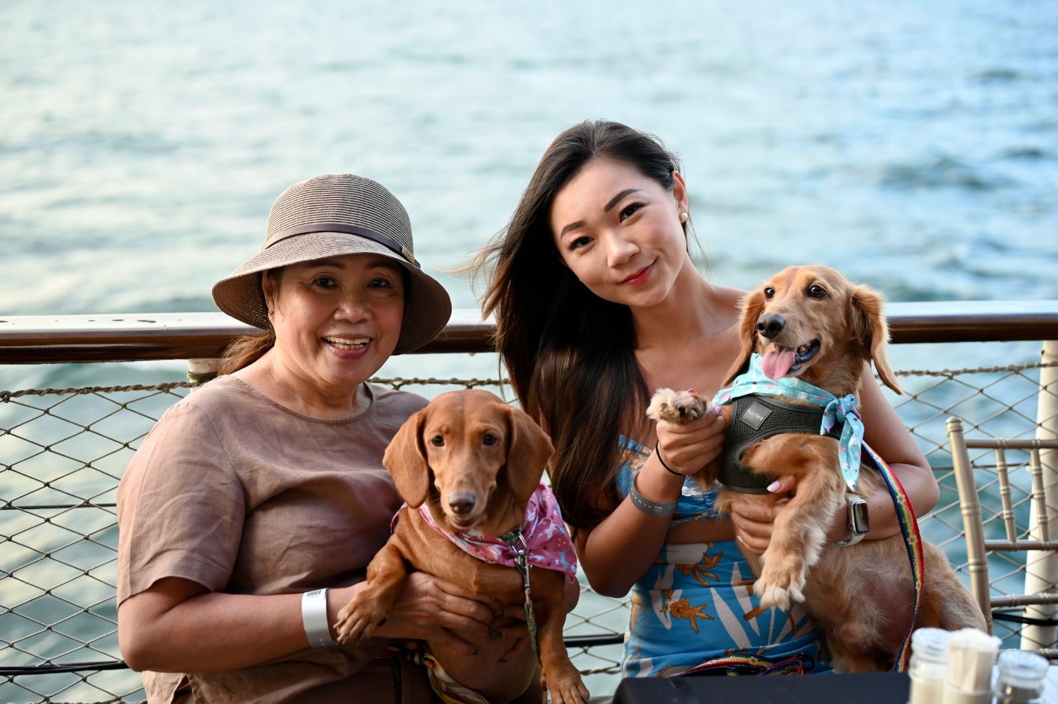 yacht for dogs singapore